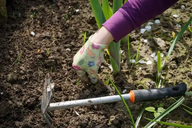 digging-the-earth image