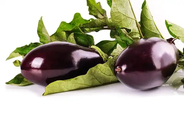 eggplant image