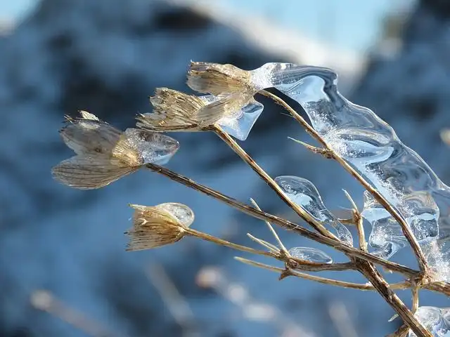 icy-rain image