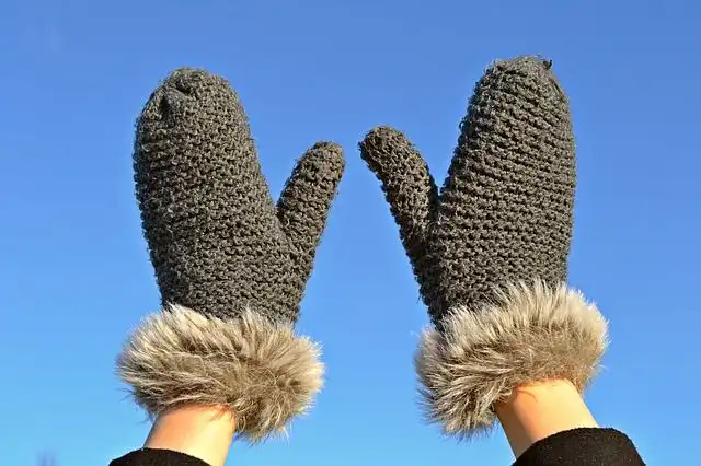 mitten image