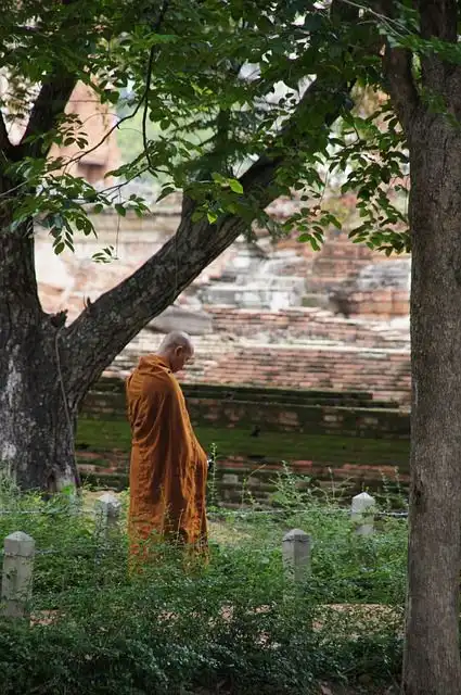 monk image