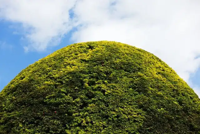 mound image