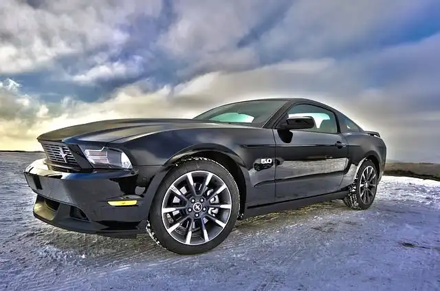 mustang image